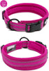 Creation Core Reflective Dog Collar with Ring Breathable Mesh Soft Padded Adjustable Nylon Pet Collar 1" Wide, Pink XXL...