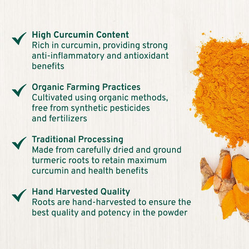SPICE TRAIN, Organic Turmeric Powder with Curcumin (397g/14oz) Lab Tested for Heavy Metal | USDA Organic, Gluten Free & Vegan | Made from Turmeric...