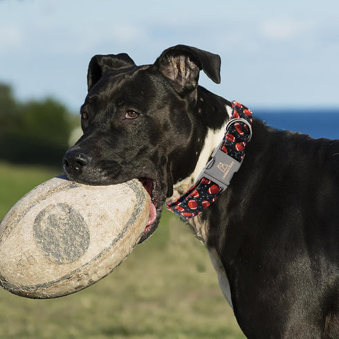 Lionheart glory Dog Collar Rugby Print Dogs Collar Boy Cute Collars Dog Soft Durable Adjustable Comfortable Handmade Dog Collars for Small Dogs Pe...