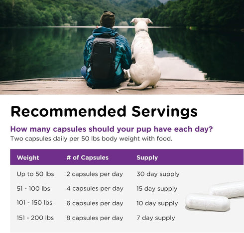 Nutri-Vet Probiotics Capsules for Dogs | Supports Digestive Health | For All Size Dogs | Promotes Healthy Immune System | Vet Formulated | 60 Coun...