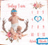 Monthly Milestone Blanket for Baby Girl, Deer Antler Flowers with Words Pink Baby Growth Chart Monthly Blanket | includes Markers 47"x47" BTLSPH68...