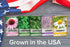 Gardeners Basics, Herbal Tea Seeds for Planting Indoors and Outdoors 5 Variety Packets Echinacea, Peppermint, Lavender, Chamomile and Lemon Balm -...