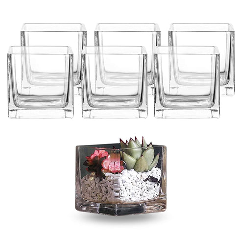 Whole Housewares Square Glass Flower Vase Centerpiece Set - 6 Pack Botanical Arrangements and Candle Holder Decoration - Thick Glass and A Stable ...
