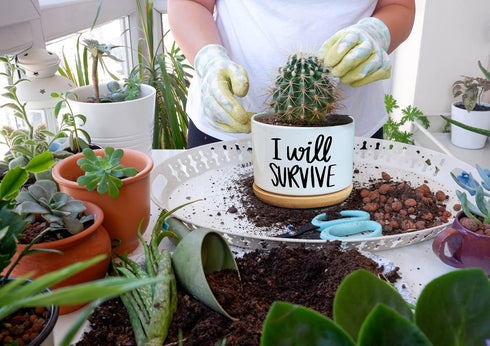 I Will Survive - Funny White Ceramic Engraved Mini Succulent Cactus Planter Pot, 1 Pack 3.5 inch Succulent Indoor Flower Plant Pots with Bamboo Tr...