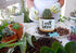 I Will Survive - Funny White Ceramic Engraved Mini Succulent Cactus Planter Pot, 1 Pack 3.5 inch Succulent Indoor Flower Plant Pots with Bamboo Tr...