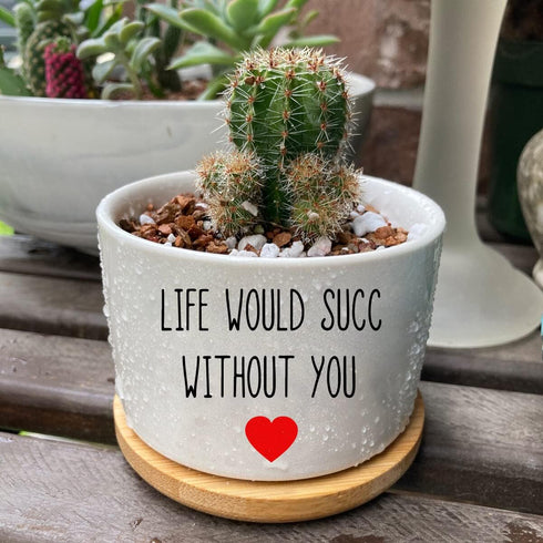 Life Would SUCC Without You - White Ceramic Engraved Mini Succulent Cactus Planter Pot, 3.5 inch Succulent Indoor Flower Plant Pots with Bamboo Tr...