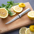 Rada Cutlery Super Parer Knife (R127), 4.38" Stainless Steel Hollow Ground Blade, Made in USA, Silver Handle...