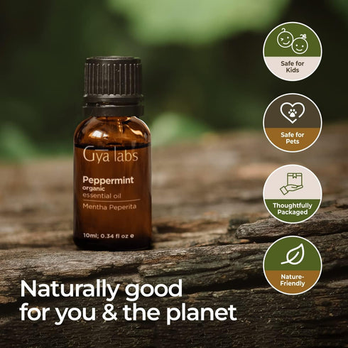 Gya Labs Organic Peppermint Oil for Hair - Premium Grade Natural Organic Peppermint Essential Oil for Diffuser & Skin (0.34 fl oz)...