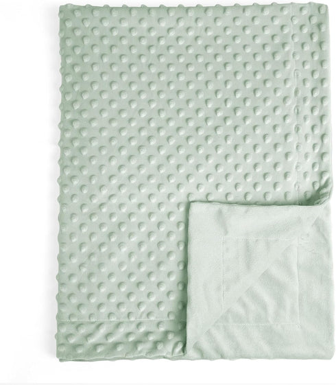 david's kids Minky Baby Blanket for Girls, Soft Lightweight Micro Fleece Blanket with Double Layer, Dotted Backing, Breathable Receiving Blanket f...