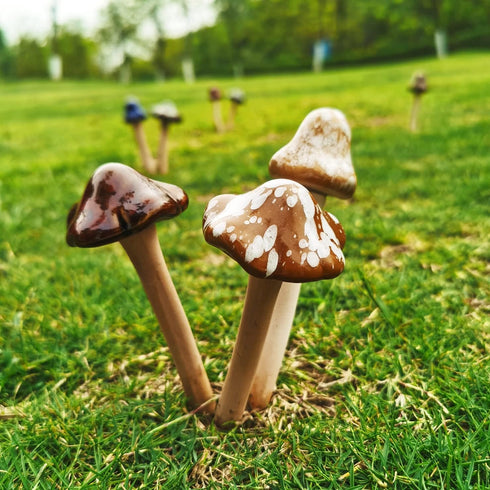 Accessories 8PCS Ceramic Mushroom Garden Pot Decoration Mushroom Figurine Indoor and Outdoor Flowerpot Decoration Lawn Tree Ornaments Pottery...