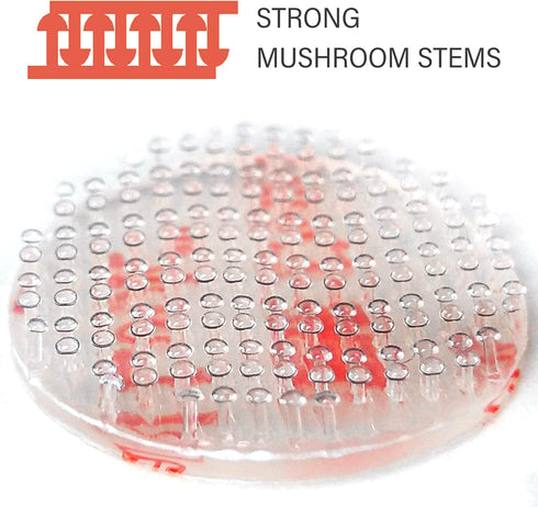 CANOPUS Double Sided Hook and Loop Tape, Reclosable Fastener, SJ3560, Heavy Duty Mounting Tape, Clear 16-PCs 1 in Diameter Circle Pack, with Box C...