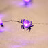 Impress Life Halloween Costume Party Spooky Spider String Lights, 10ft 40 LEDs Battery Operated with Dimmable, Flicker Remote for Porch, Trick or ...