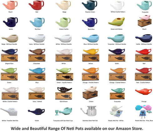 HealthGoodsIn Ultra Durable High Grade Stainless Steel Neti Pot for Nasal Irrigation + Neti Salt + 1 Cleaning Brush for Spout...