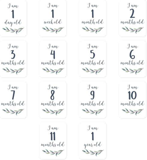lulujo Baby’s First Year Milestone Blanket and Card Set | 40in x 40in (Hello World)...