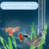 Aquarium Fish Shrimp Feeding Dish Set Clear Fish Feeder Tube and Dish with Cleaning Brush and Measuring Spoon for Feeding Shrimp and Preventing Fo...
