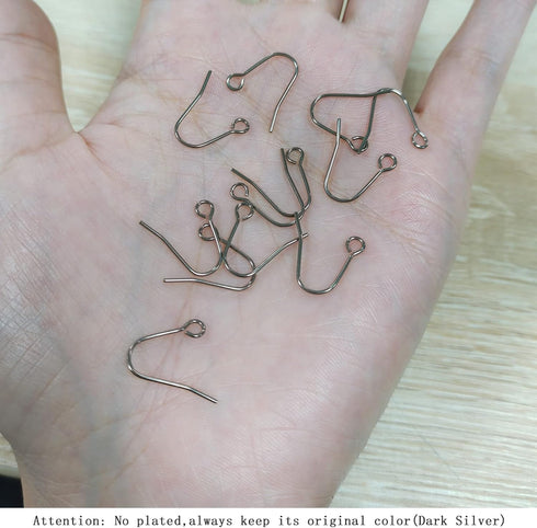 6pcs 20G Small Pure Titanium Earring Fish Hooks DIY Earrings Findings for Jewelry Making, Hypoallergenic Earring Hooks Making Kit for Women Men Se...