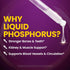 Liquid Phosphorus Supplements - Ionic Phosphorus Supplement from Ortho Phosphoric Acid for Healthy Bones & Teeth, Protein & Energy Production - No...