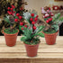 Christmas Tabletop Decorative Pots with Pine Red Berries Pine Cones Greenery - Set of 3 - Snow Flocked Xmas Holiday Decor - 7 1/2" Tall...