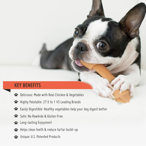 Premium Peanut Butter Dog Chew Bones, Rawhide Free, Gluten Free, Made with Limited Ingredients, Delicious, Healthy, Highly Digestible (MINI 18pcs/...