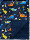 david's kids Minky Baby Blanket for Boys, Soft Lightweight Micro Fleece Blanket with Double Layer, Dotted Backing, Breathable Receiving Blanket fo...