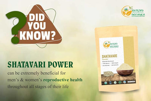 Shatavari Powder Organic Asparagus Racemosus for Lactation Breastfeeding Shatavri Satawar Kalpa Kalp India USDA Organic Improves Lactation | Rejuv...