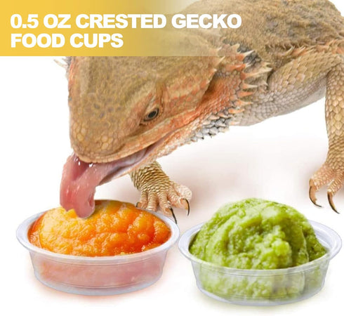 0.5oz Crested Gecko Food and Water Feeding Cups, Reptile Feeder Bowls, Plastic Replacement Food Dish for Lizard and Other Small Pet Ledge Accessor...