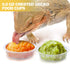 0.5oz Crested Gecko Food and Water Feeding Cups, Reptile Feeder Bowls, Plastic Replacement Food Dish for Lizard and Other Small Pet Ledge Accessor...