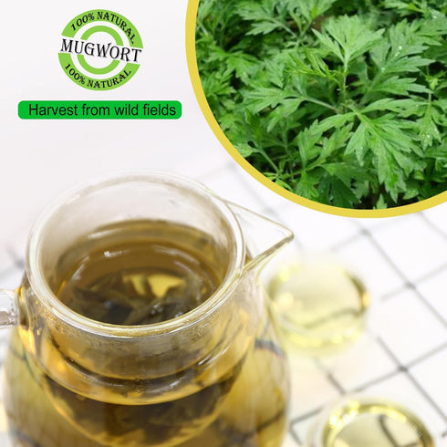Jarteela - Premium Dried Mugwort Herbs - 4oz/114g - Natural Herbs Loose Leaf For Mugwort Tea - Non-GMO - Caffeine-free...
