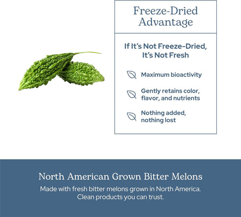 ECLECTIC INSTITUTE Raw Fresh Freeze-Dried Non-GMO Bitter Melon | 90 CT (200 mg)...