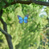 LIOOBO Large Metal Butterfly Wall Art Outdoor Decor 3D Butterflies Wall Sculpture Hanging Decor for Home Yard Patio Garden Decoration Blue...