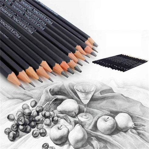 Heshengping Drawing Sketch Pencil Set 14pcs Sketching Pencils 12B 10B 8B 7B 6B 5B 4B 3B 2B B HB 2H 4H 6H Graphite Pencils for Kid Adults Artists S...