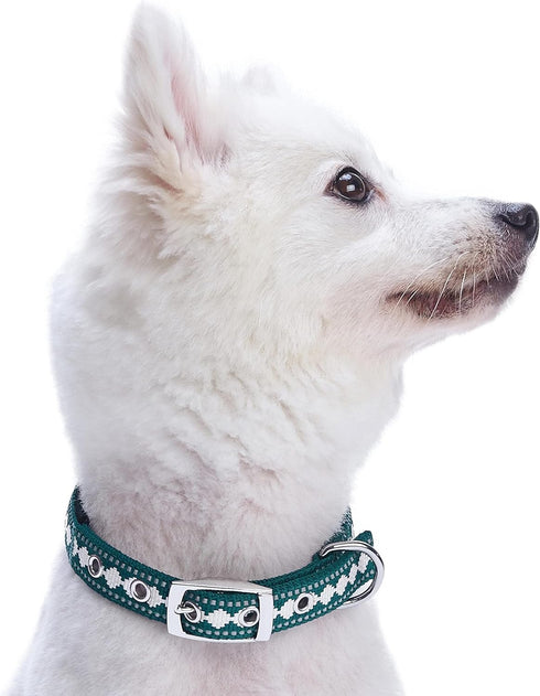 Blueberry Pet Soft & Safe 3M Reflective Jacquard Neoprene Padded Adjustable Dog Collar with Metal Buckle - Teal Blue, Neck 17-20.5", for Large Bre...
