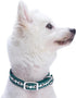 Blueberry Pet Soft & Safe 3M Reflective Jacquard Neoprene Padded Adjustable Dog Collar with Metal Buckle - Teal Blue, Neck 17-20.5", for Large Bre...