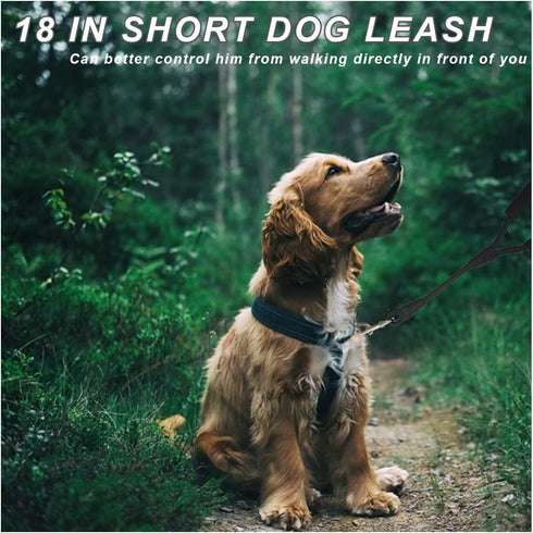 18 Inch Short Dog Leash + Traffic Pet Lead, Strong Nylon + Padded Handle + Well Made Clasp, Great for Medium and Large Dogs Training Walking (Blac...