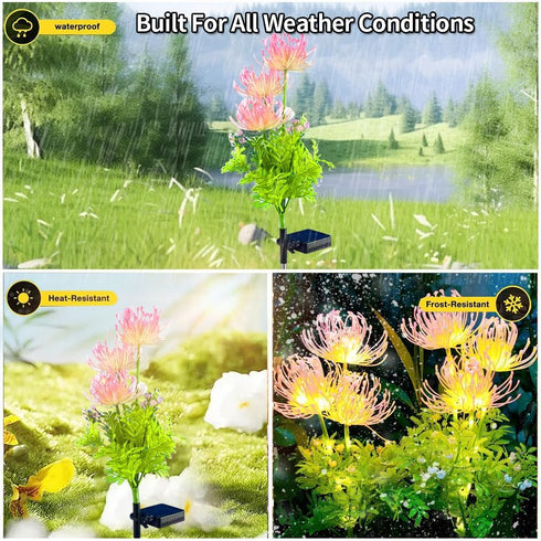 2 Packs of LED Solar Flower Decorative Lights, 2-Mode Outdoor Courtyard Atmosphere Lights and Garden Landscape Lights, Wireless Waterproof from Du...
