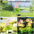 2 Packs of LED Solar Flower Decorative Lights, 2-Mode Outdoor Courtyard Atmosphere Lights and Garden Landscape Lights, Wireless Waterproof from Du...