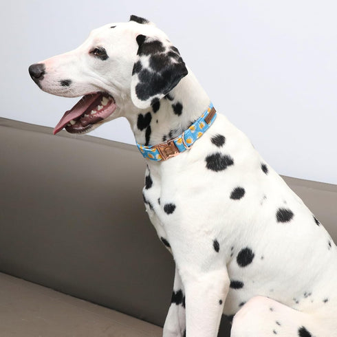 MR. CHUBBYFACE Spring Summer Dog Collar Cute Blue Beer Dog Collar Girl Boy Dog Collar for Small Medieum Large Dogs...