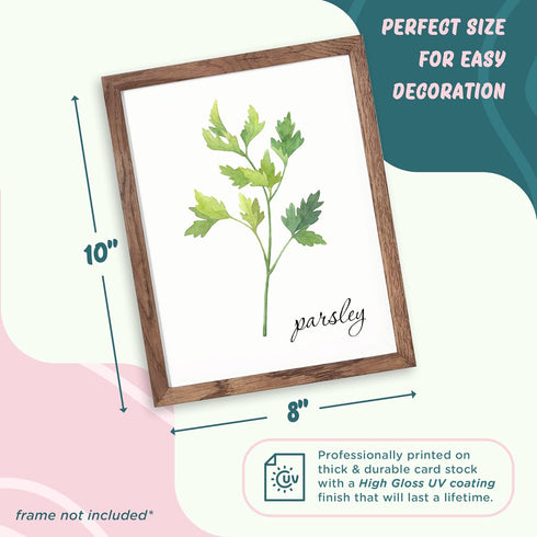 L&O Goods Kitchen Herb Decor Posters & Prints | Home & Kitchen Sage Green Flower Wall Decor | Six 8x10 Posters | Leaves Boho Decor | Artwork Pictu...