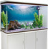 AWERT 36x24 inches Vinyl Undersea Ocean Floor Aquarium Background Tropical Tank Background...