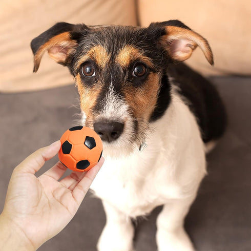 2'' Latex Squeaky Dog Soccer Ball Toys, Dog Football Ball for Puppy Small Medium Dogs, Vibrant Colors Soccer Chew Fetch Throw Ball 6 Pcs/Set...