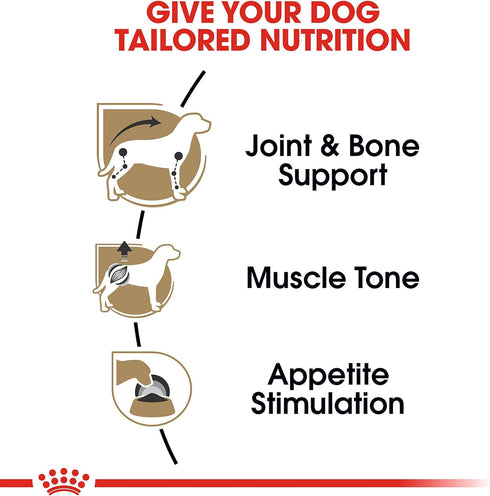 Royal Canin Dachshund Adult Breed Specific Wet Dog Food, 3 oz. can...