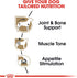 Royal Canin Dachshund Adult Breed Specific Wet Dog Food, 3 oz. can...