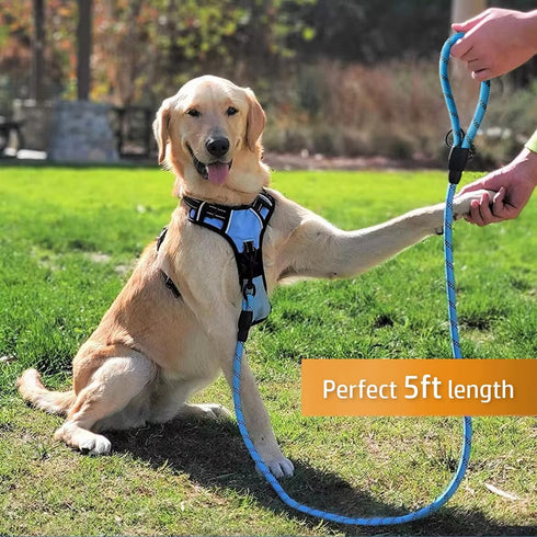 Cutie's PetBox Dog Leash for Medium and Large Breeds - Heavy-Duty Reflective Nylon Rope, 5ft (Blue)...