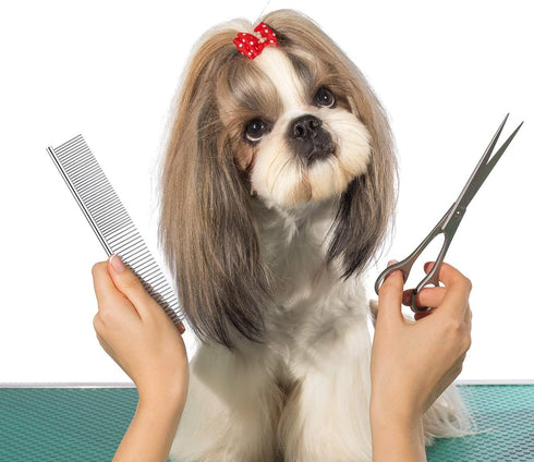 Dog Combs for Grooming, Metal Cat Comb for Removing Tangles and Knots, Professional Grooming Tool for Long Haired Dog, Cat and other pets...