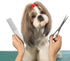 Dog Combs for Grooming, Metal Cat Comb for Removing Tangles and Knots, Professional Grooming Tool for Long Haired Dog, Cat and other pets...
