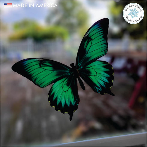 Butterfly Window Clings (36 pcs), Large Decals for Glass, Blue, Red, Orange, Teal, Anti Collision, Decorative, Reusable, Fade Resistant, Indoor Us...