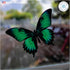 Butterfly Window Clings (36 pcs), Large Decals for Glass, Blue, Red, Orange, Teal, Anti Collision, Decorative, Reusable, Fade Resistant, Indoor Us...