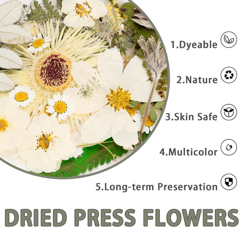 50Pcs Dried Pressed Flowers Real Pressed Flowers Natural Dry Leaves Bulk Mixed Colorful Herbs Kit with Tweezers for Scrapbooking DIY Candle Jewelr...