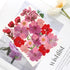 35 Pcs Dried Pressed Flowers for Resin, Pink Real Pressed Flowers Bulk Natural Herbs Kit for Scrapbooking DIY Art Crafts, Epoxy Resin Jewelry Mold...