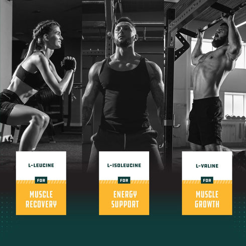 Branch Chain Amino Acids Supplement - Vegan BCAA Tablets Post Workout Muscle Recovery and Muscle Growth Support - Branched Chain Amino Acids Suppl...